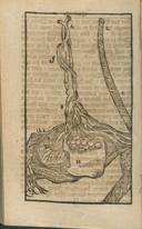 Seite 174