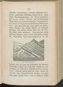 Seite 119