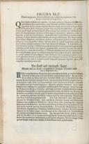 Seite 144