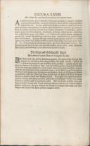Seite 228
