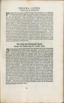 Seite 239