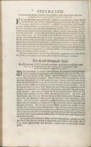 Seite 226