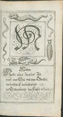 Seite 31