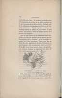 Seite 264