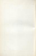 Seite 282