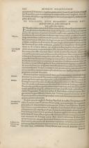 Seite 246