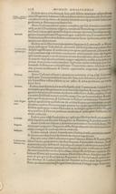Seite 262