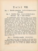 Seite 26