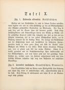 Seite 32