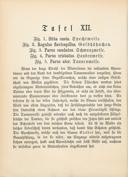 Seite 38