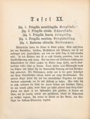 Seite 62