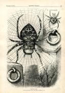 Seite 1