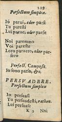 Seite 241
