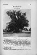 Seite 191