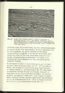 Seite 83