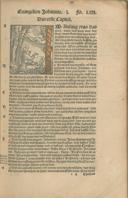 Seite 135