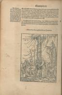 Seite 170
