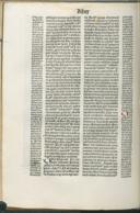Seite 239