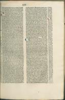 Seite 310