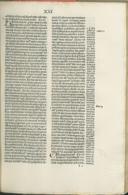 Seite 484