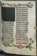 Page 255
