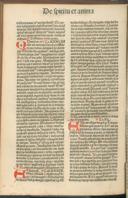 Seite 462