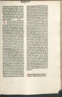 Seite 295