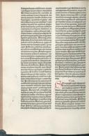 Seite 344