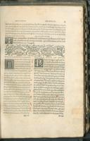 Seite 161