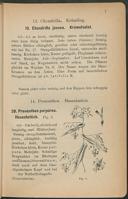 Seite 51