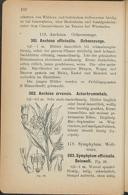Seite 146