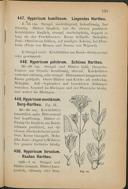 Seite 197