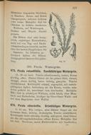 Seite 271
