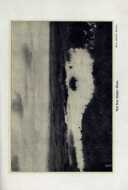 Seite 120