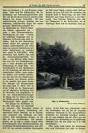Seite 53