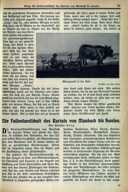 Seite 55
