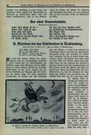 Seite 51