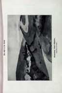 Seite 52