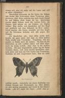 Seite 294