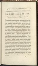 Seite 43