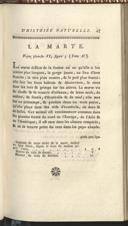 Seite 119