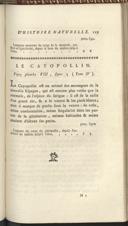 Seite 239