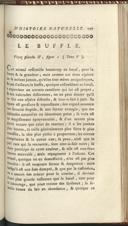 Seite 255