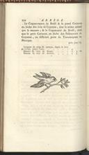 Seite 306