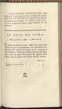 Seite 119