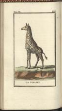 Seite 186