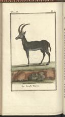 Seite 224