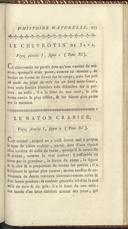 Seite 255