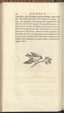 Seite 142