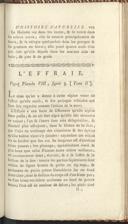 Seite 191